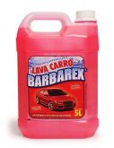 LAVA CARRO 5L